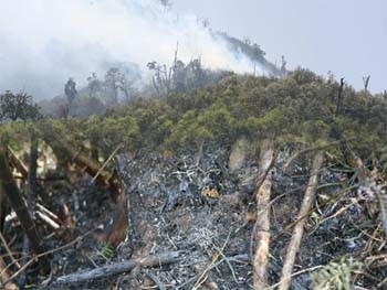 Forest fire in Hoang Lien Son National Park is still out of control, since March 2 (Photo: Thanh Nien)